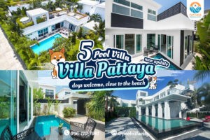 Pool Villa Pattaya, dogs welcome, close to the beach