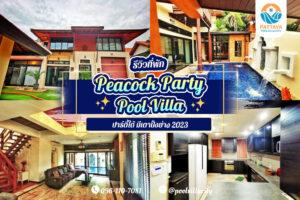 Peacock Party Pool Villa