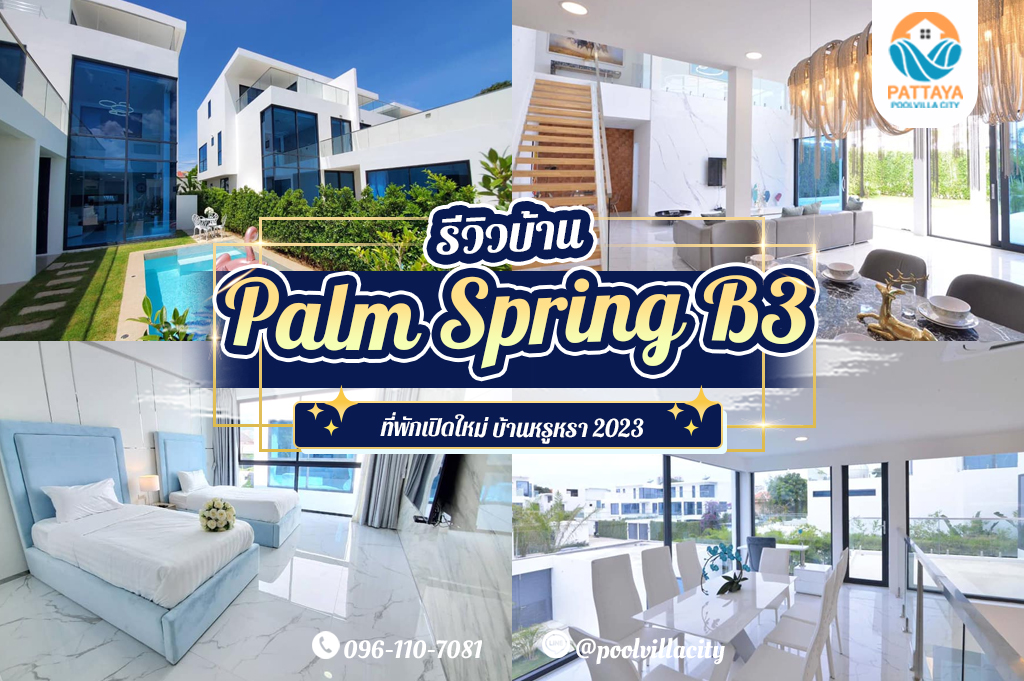 Palm Spring B3