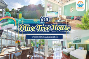 Olive Tree House 