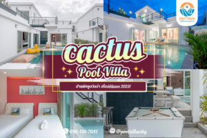 cactus pool villa